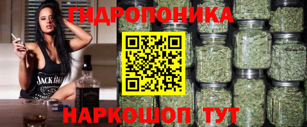 Конопля план  Вход с VPN  Марихуана SATIVA & INDICA  Полысаево  Марихуана OG Kush 
